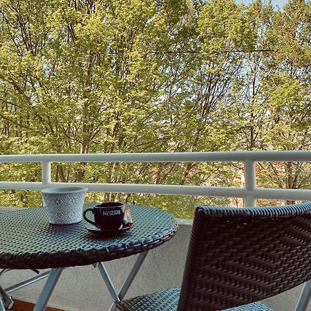 Apartman Konatar Τσέτινιε Εξωτερικό φωτογραφία