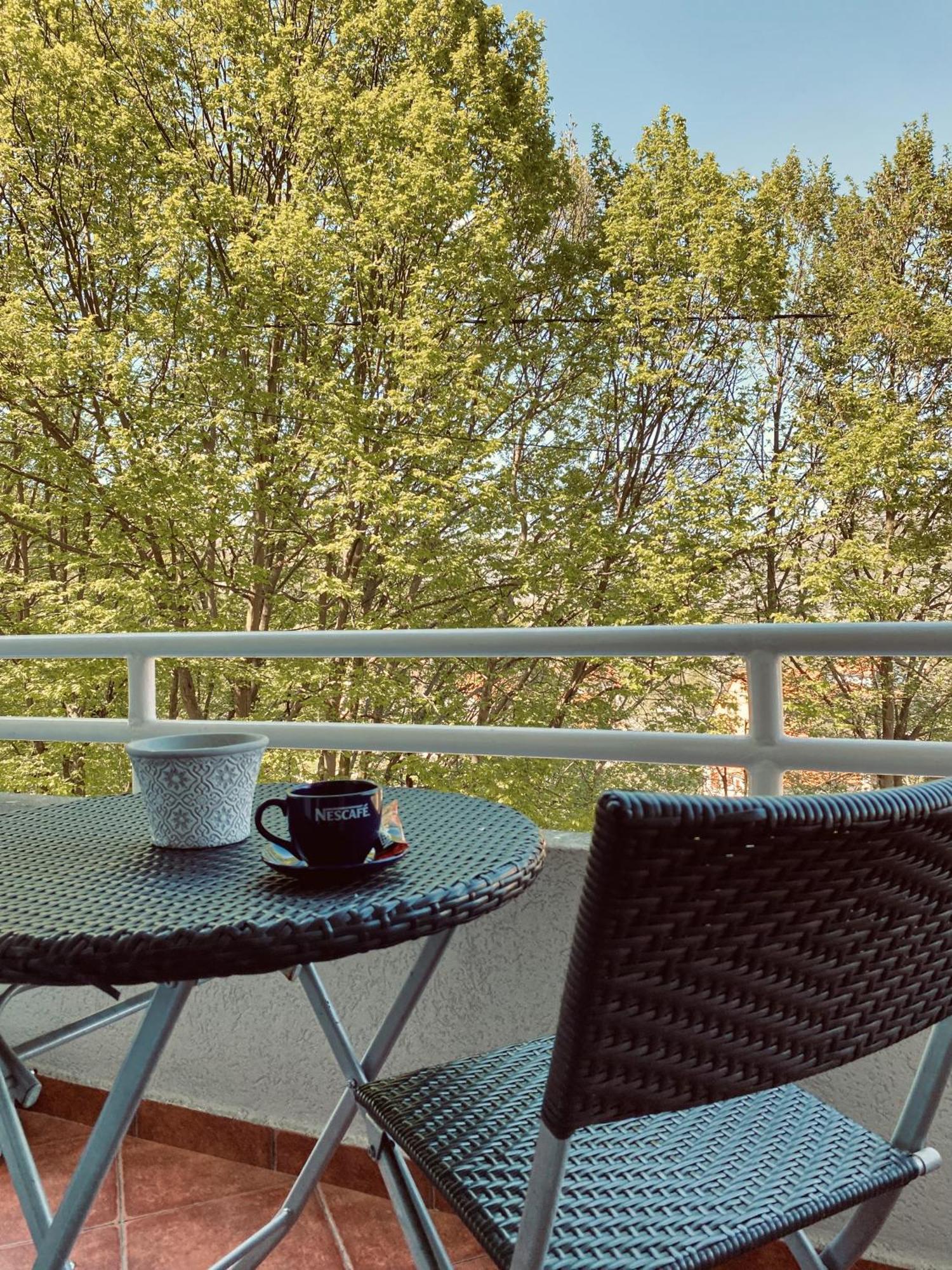 Apartman Konatar Τσέτινιε Εξωτερικό φωτογραφία